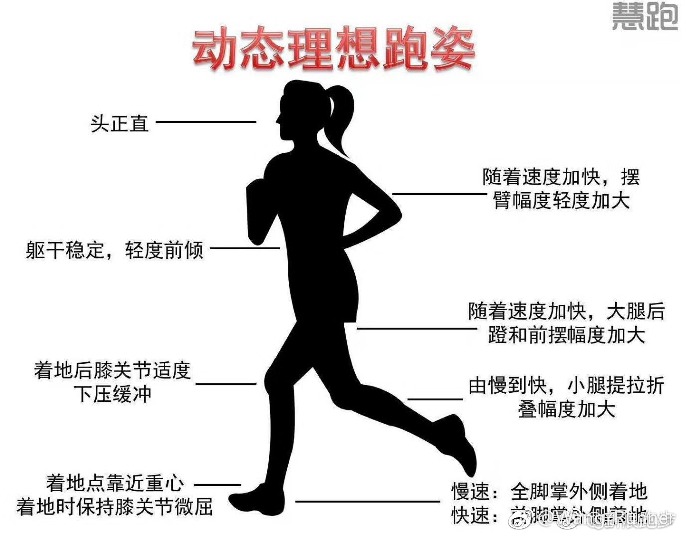 跑跳区经验分享:提升运动表现的秘诀